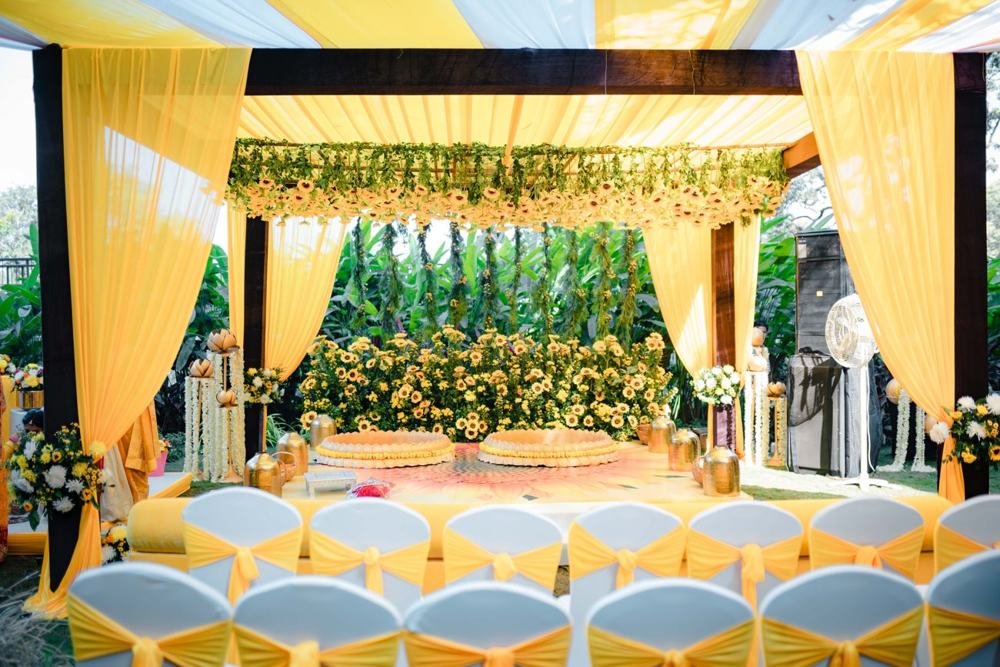 Yellow drape mandap with greenery