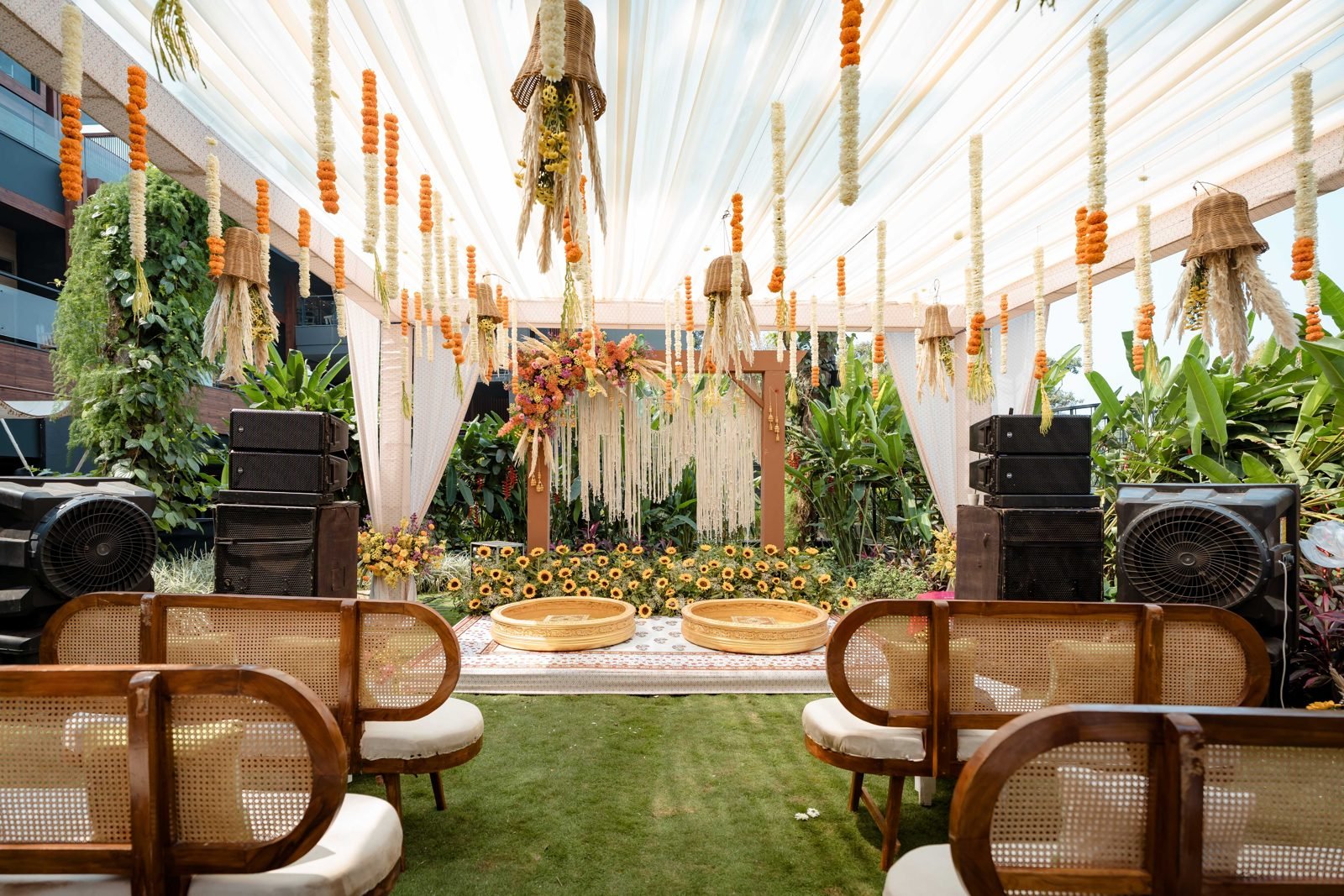 Marigold haldi pathway